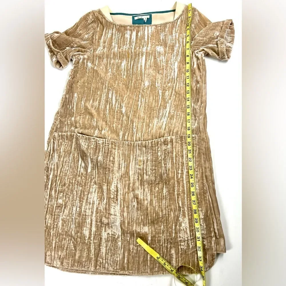 Anthropologie Floreat Crushed Velvet Dress
